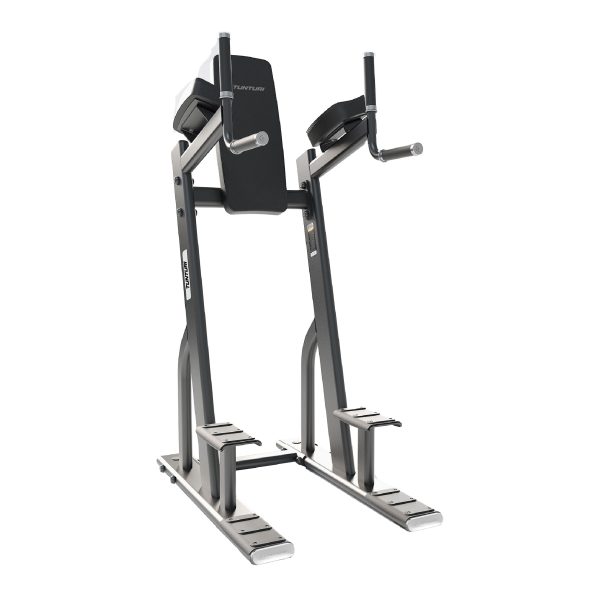 EVO 8010 Vertical Knee Raise / Dip Stand